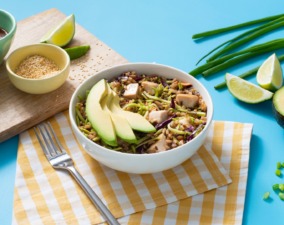 Asian Chicken and Broccoli Slaw Salad